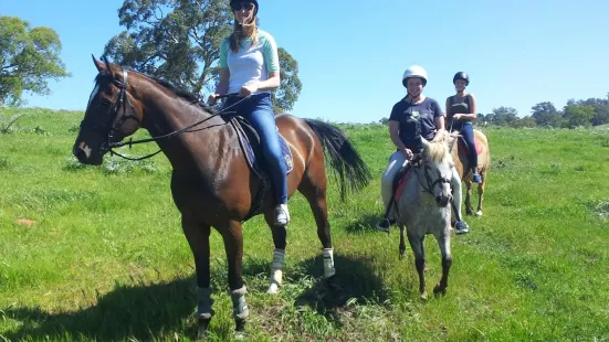 Nyroca Riding Centre