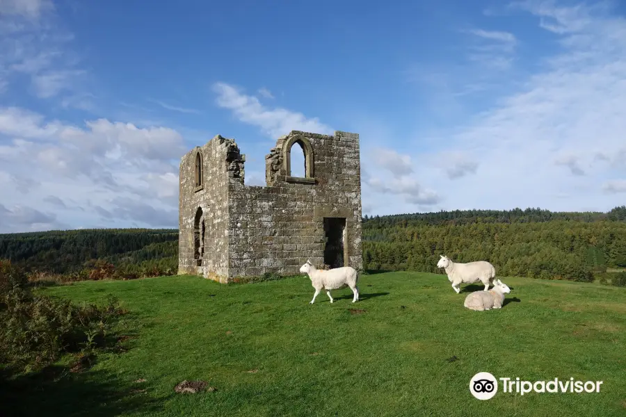 Skelton Tower