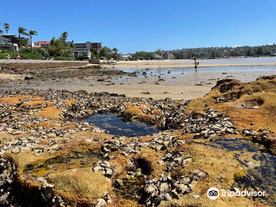 3_玫瑰灣至尼爾森公園漫步