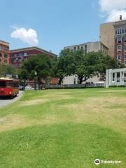 The Grassy Knoll