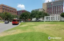 The Grassy Knoll