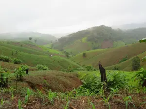 Khun Nan National Park