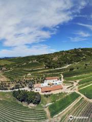 Azienda Agricola Boscaini Carlo