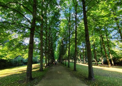 French Garden