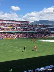 Estadio Nuevo Los Cármenes