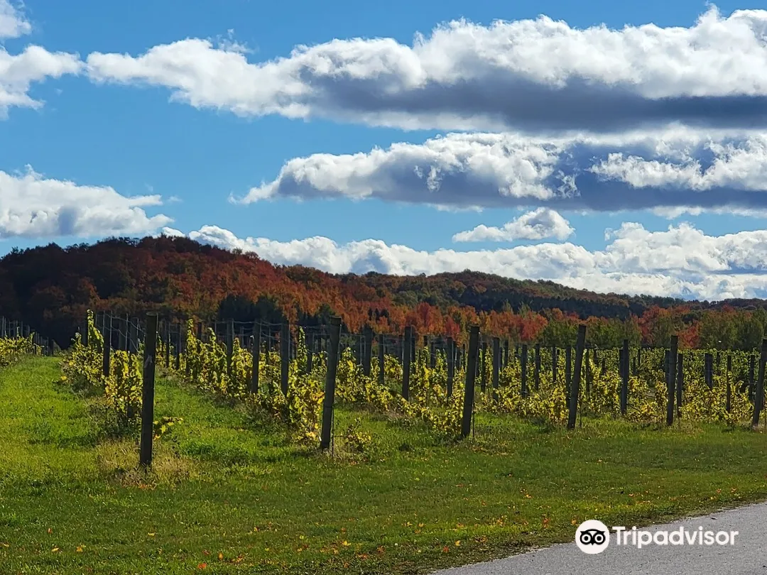 1_45 North Vineyard & Winery