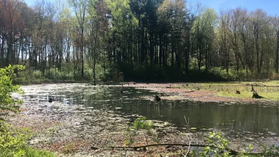 Hawthorn Park- Vigo County Parks and Recreation Department