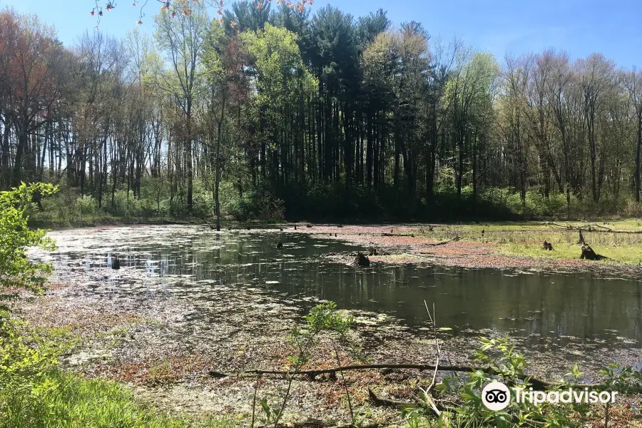 Hawthorn Park- Vigo County Parks and Recreation Department