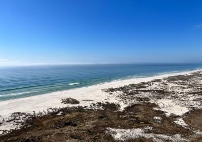 Gulf Shores Public Beach