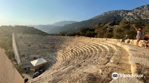 Hellenistic theatre