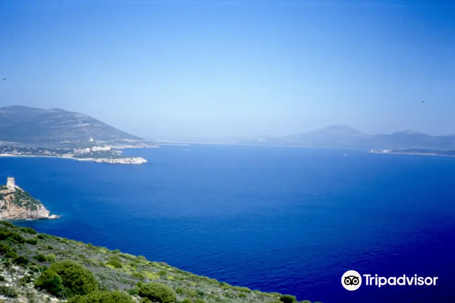 Golfo di Arzachena