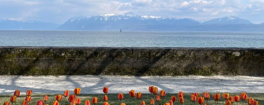 Morges