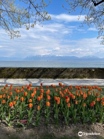Morges