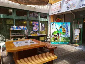 Michi-no-Eki - Minoshirakawa