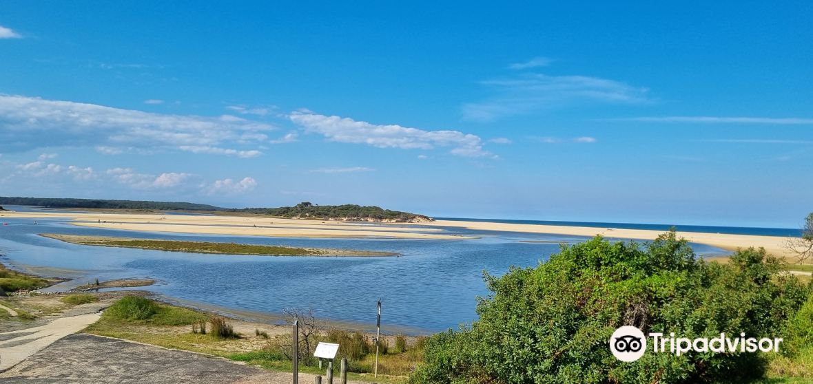 Things to Do in Lake Tyers in 2024 Top Attractions, Local Food