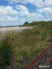 Dargaville Rail Tours