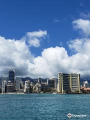 Port Waikiki Cruises