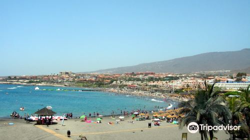 Playa de Torviscas