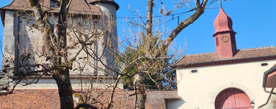 Schloss Liebegg