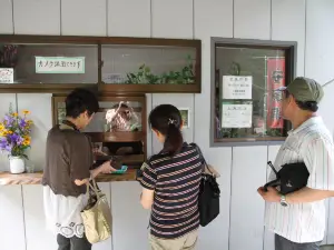 Akkadō Cave