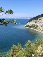 Nature Reserve Strunjan