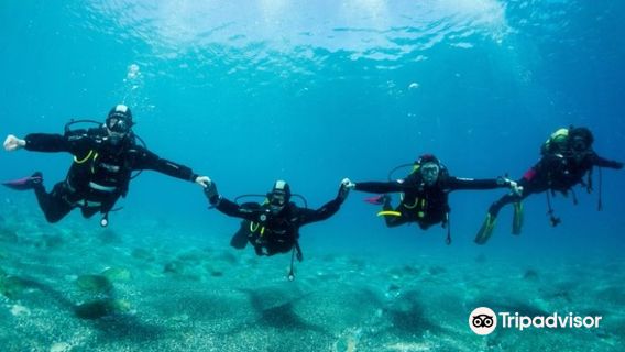 Marina Dive Center