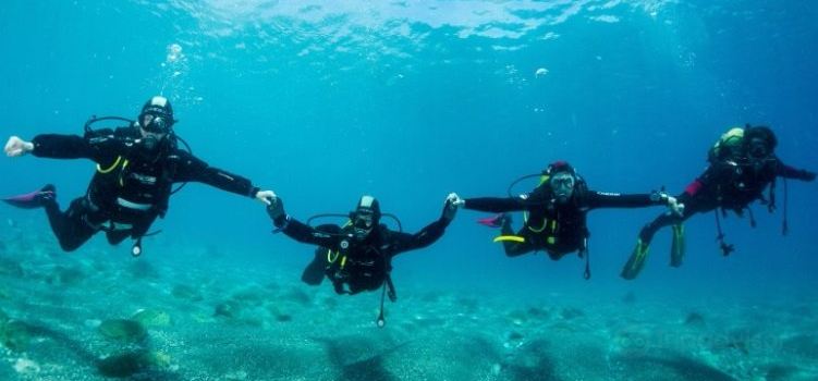 Marina Dive Center