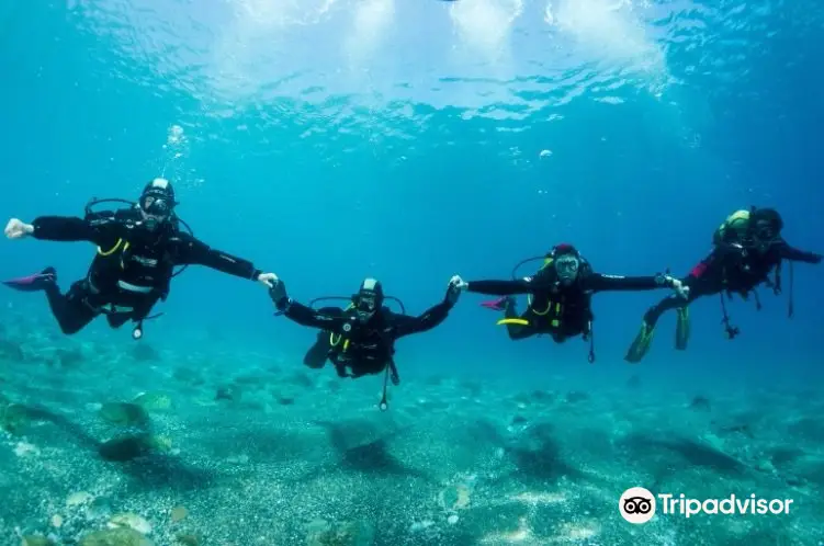 Centro de Buceo Marina - Buceo en La Herradura