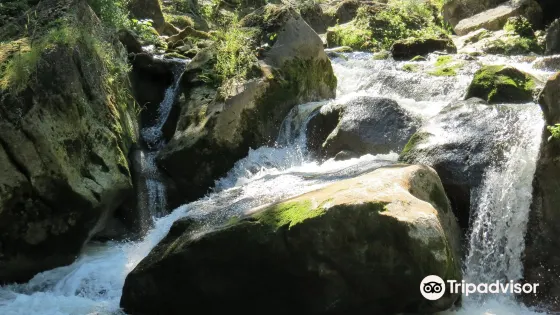 Inglis Falls