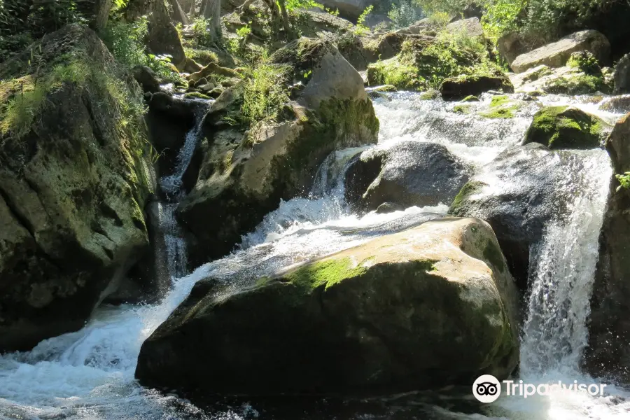 Inglis Falls