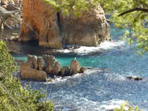 Calanque de Port d'Alon