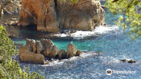Calanque de Port d'Alon