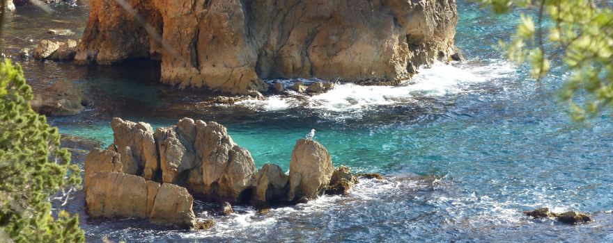Calanque de Port d'Alon