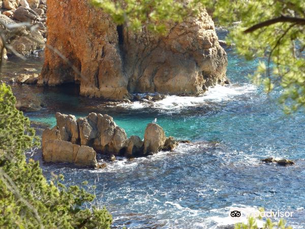 Calanque de Port d'Alon