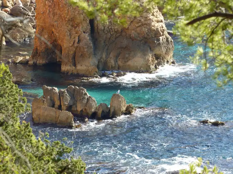 Saint-Cyr-sur-Mer