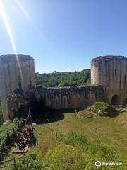 Chateau de Coudray-Salbart