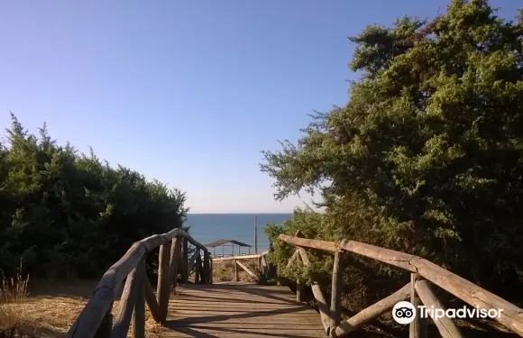 馬塔拉斯卡尼亞斯