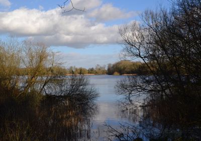 Coate Water Country Park