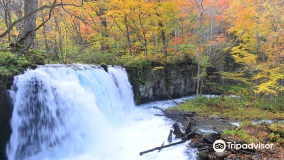 Chōshi ōtaki Falls