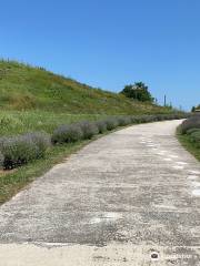 Thracian Tomb of Sveshtari UNESCO World Heritage Site