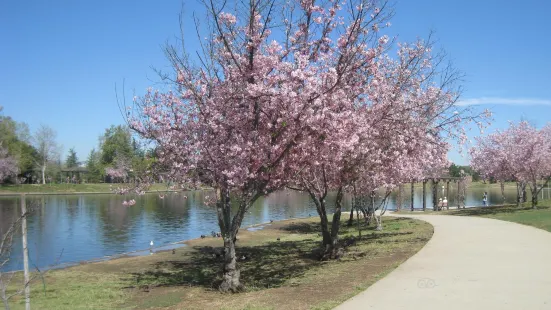 Lake Balboa/Anthony C. Beilenson Park