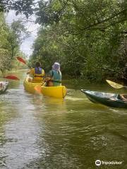 Medoc Explorer Canoe