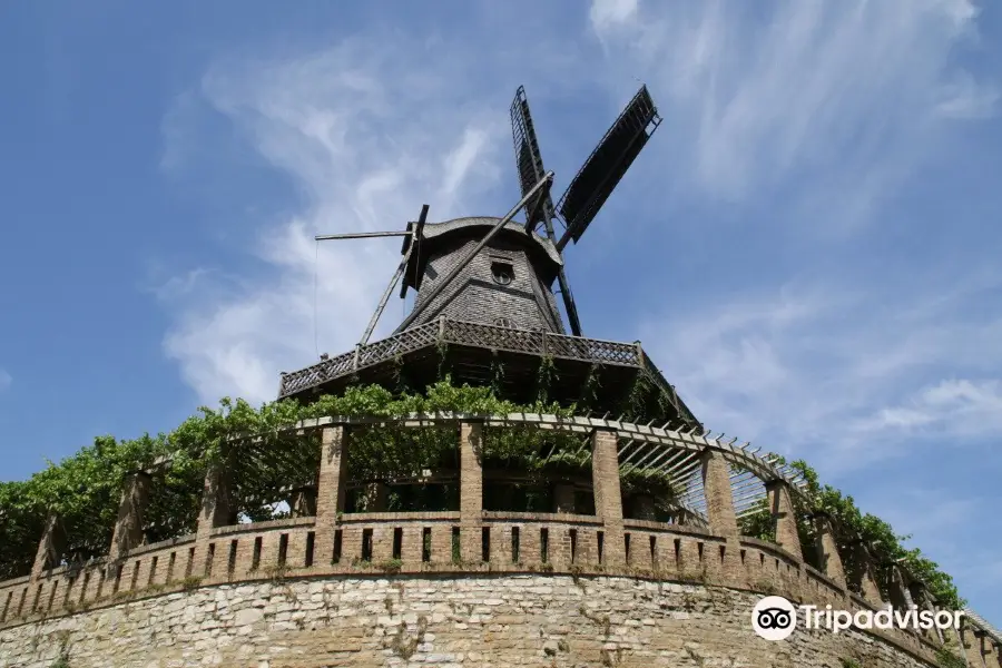 The Historic Windmill