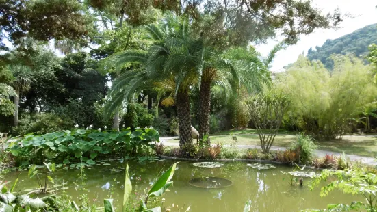 Jardin Botanique et Exotique Val Rahmeh