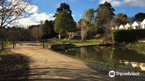 Wombat Flat Mineral Spring