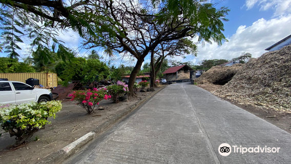 River Antoine Estate Rum Distillery