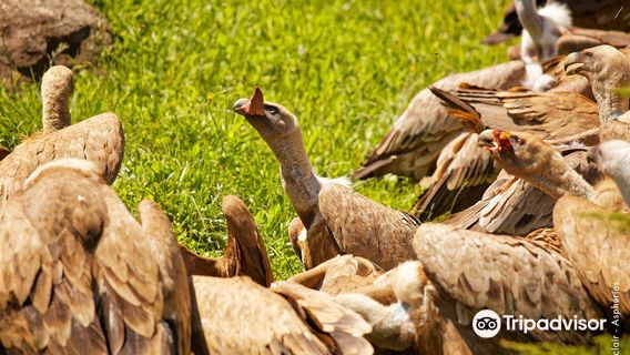 Animal Park of the Pyrenees