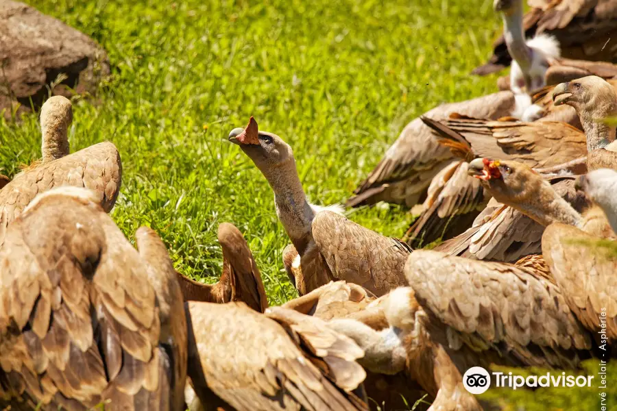 Animal Park of the Pyrenees