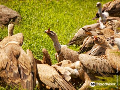 Animal Park of the Pyrenees