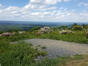 Big Pocono State Park